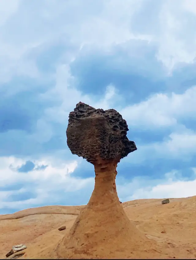 台北景點|野柳地質公園🌊