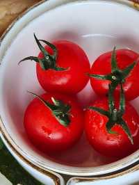 精緻潮州菜