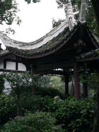 Tea-house In Chengdu