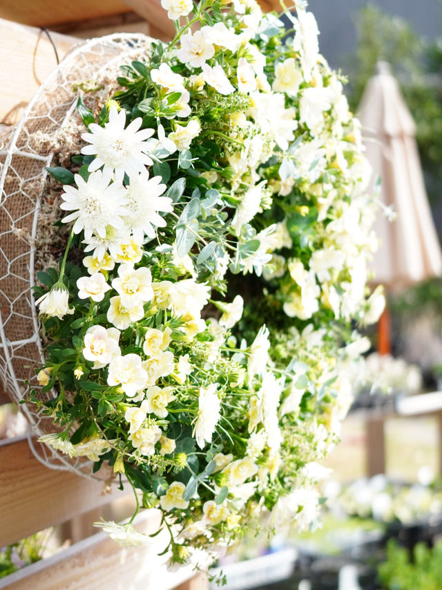 【茨城×オシャレなお花屋さん】天井に吊るされたドライフラワー フラワーアレンジメント教室
