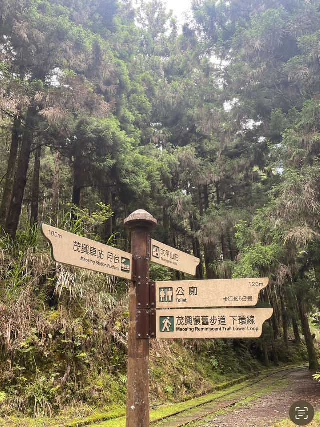 台灣宜蘭/太平山懷舊蹦蹦車🚂🚂