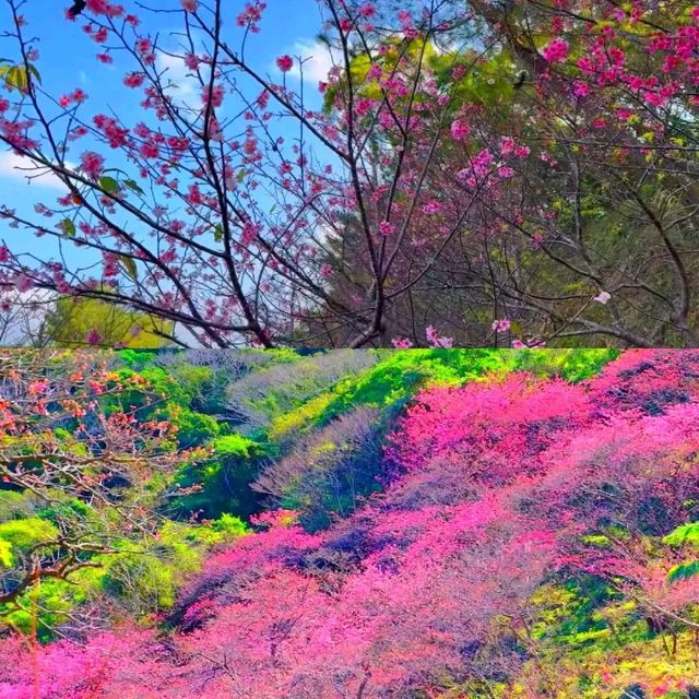 沖繩