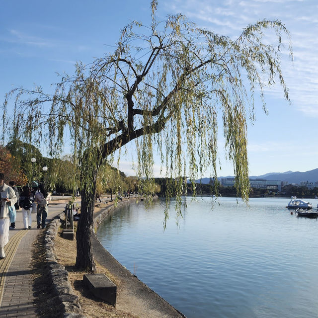 大濠公園（Ohori Park）