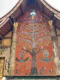 วัดเชียงทอง หลวงพระบาง ลาว 🤍🧡
