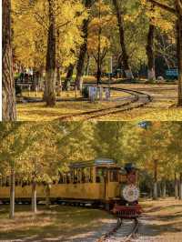 Best Autumn Spots in Huzhou 🍂🍁