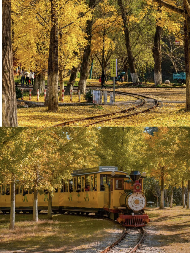 Best Autumn Spots in Huzhou 🍂🍁