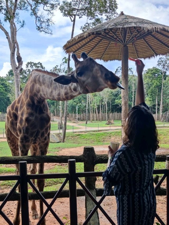 #珍珠野生動物園（Vinpearl Safari Phu Quoc）-越南富國島