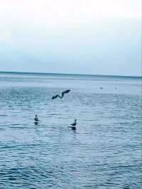 Erhai Lake: A Serene Escape into Nature and History