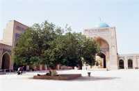 Witnessing Islam at the Kalon Mosque in Bukhara