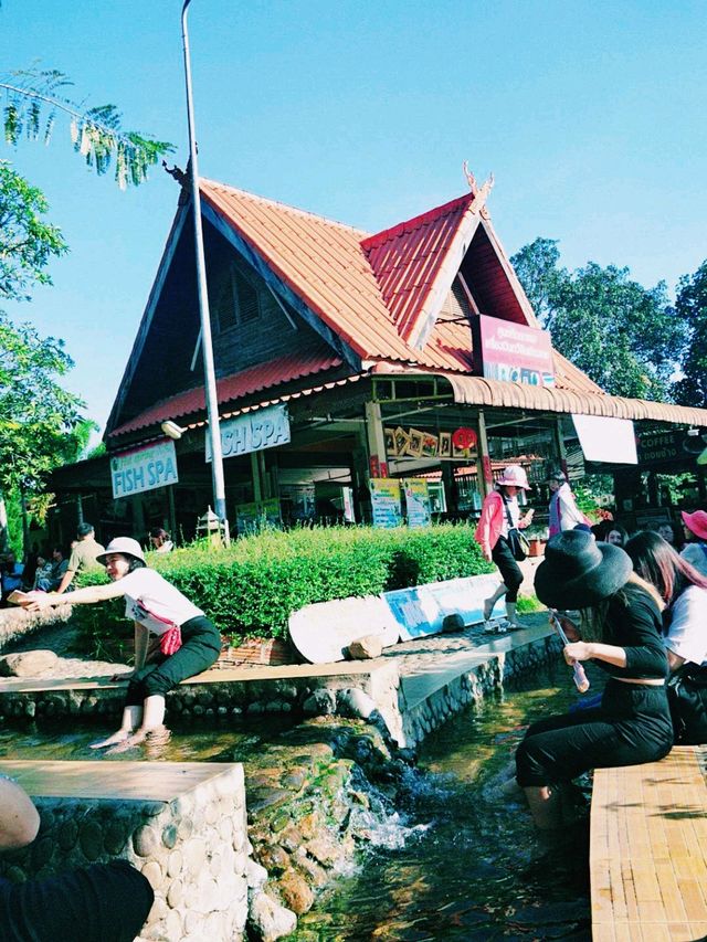 泰國清邁著名溫泉景點：Pong Krathing Hot Spring，適合休閒打卡拍照📸