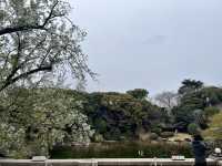📖 ✅東京国立博物館（東博）攻略ガイド