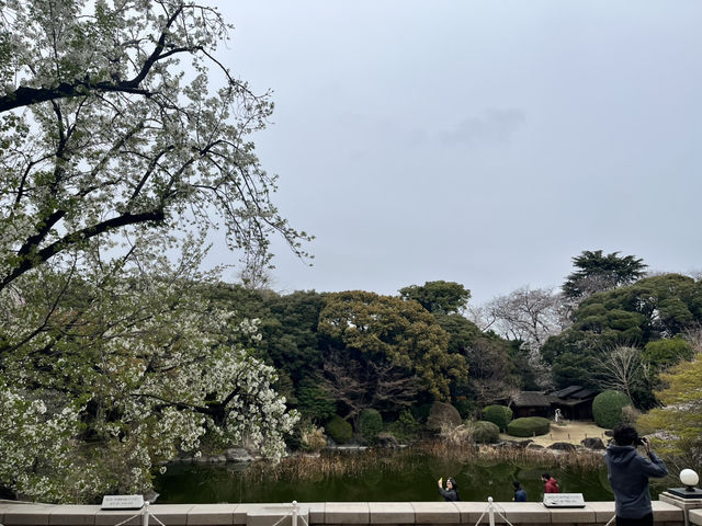 📖 ✅東京国立博物館（東博）攻略ガイド