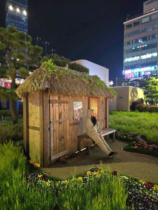 벌써 시작된 광안리 해변 청보리밭💚
