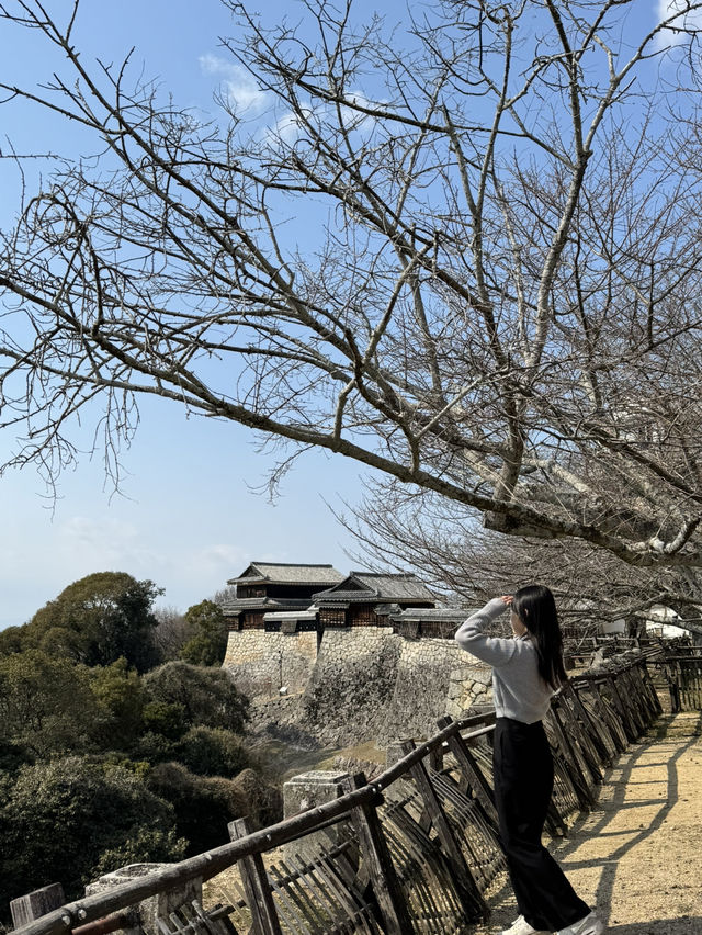 🏯 마쓰야마성, 일본의 숨은 고성 명소!