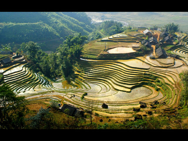Terraced Rice Fields in Mu Cang Chai
