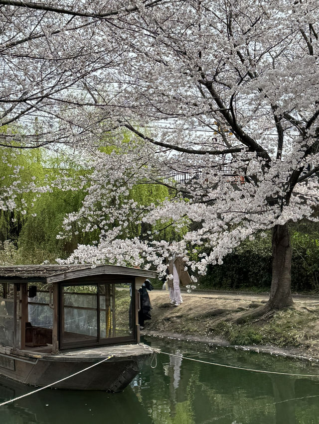 【京都】伏見十石舟