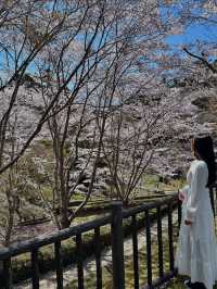 【千葉・鴨川】まるでジブリ