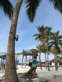 Amazing Maldives!馬爾地夫是第一次跟trip.com購買的經驗，非常棒！
