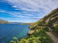 Wānaka’s Best-Kept Secret Walk