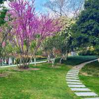 曉港公園~城市中的綠化地帶