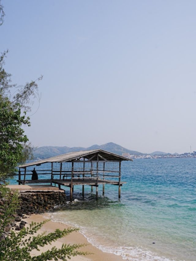 ⛱  ดำน้ำดูปลา เกาะแสมสาร