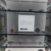 娘惹博物館 Peranakan Museum
