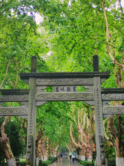 Чудо-дерево(不思議な木)

幼児用絵本　洋書 Huanglong Cave– Hangzhou's Hidden Daoist Oasis | Trip.com
