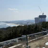 눈 내린 3월의 낙산사, 설악산과 바다를 품은 고요한 사찰