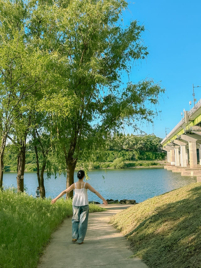 도심 속 작은 피크닉 천국 🎒🌸