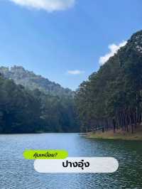 ปางอุ๋ง ⛰️🍃 สักครั้งในชีวิต คุ้มเหนื่อย?