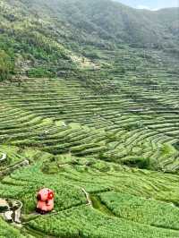 Zhangjiatian Village: A Landscape Shaped by Time