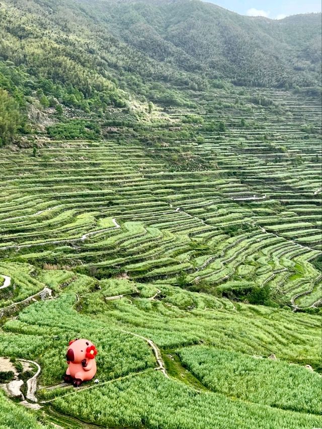 Zhangjiatian Village: A Landscape Shaped by Time
