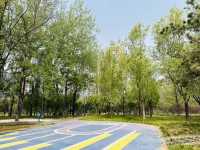 The Commuter's Sanctuary: Finding Zen in Wangjing's Urban Waterfront