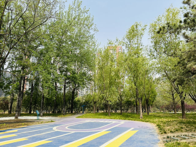 The Commuter's Sanctuary: Finding Zen in Wangjing's Urban Waterfront