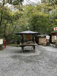 사랑❤️이 넘처나는 노노미야 신사⛩️ 연분을 맺어보세요! "Nonomiya Shrine"
