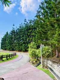 “KL’s Best-Kept Secret: The Lush Charm of Taman Saujana Hijau”