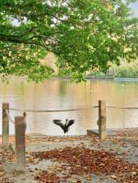 Hyde Park
