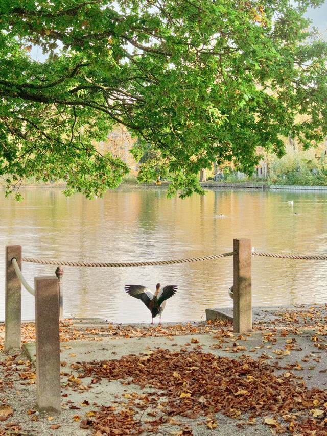 Hyde Park