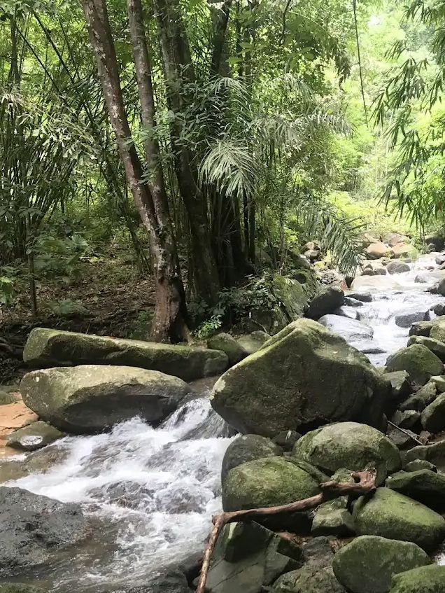Nature's Tranquility at Bang Pae Waterfall, Phuket