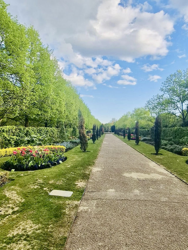 Cherry Blossom Walk at Regent’s Park