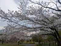 Kinchakuda Park, Saitama