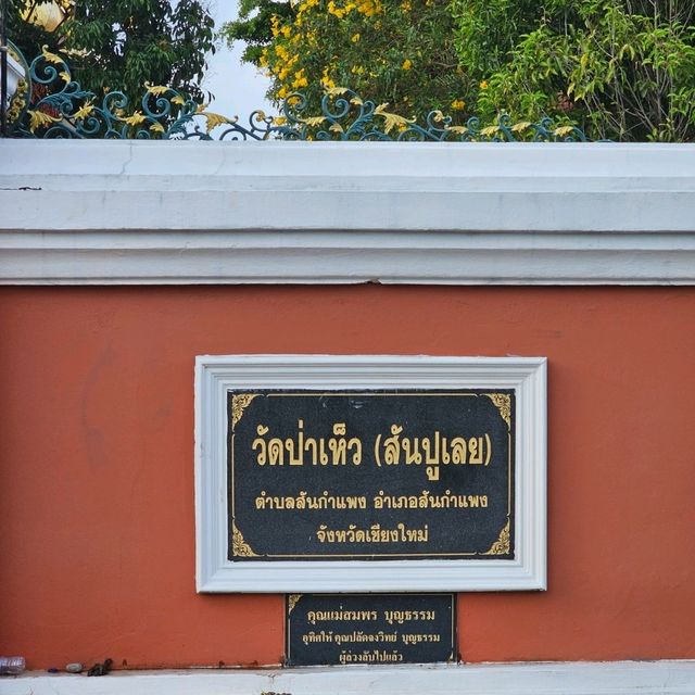 🌻ไหว้พระทำบุญ | วัดป่าเห็ว (สันปูเลย)🌼