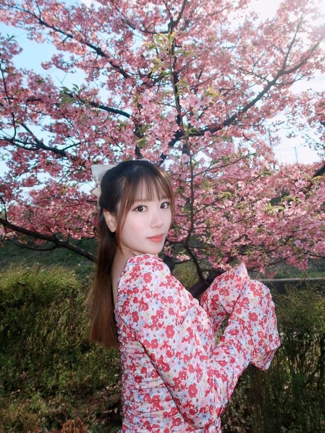 日本愛知縣《千與千尋》中湯屋的奇幻場景