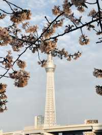 TOKYO SKY TREE