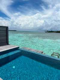 Ocean Dreams: Dive into the Maldives Experience