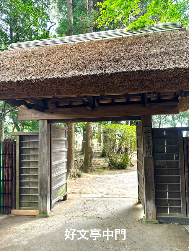 日本三名園　偕楽園