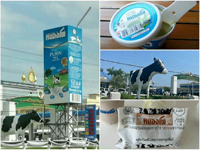 เที่ยวโพธาราม-บ้านโป่ง ไปเช้า-เย็นกลับ