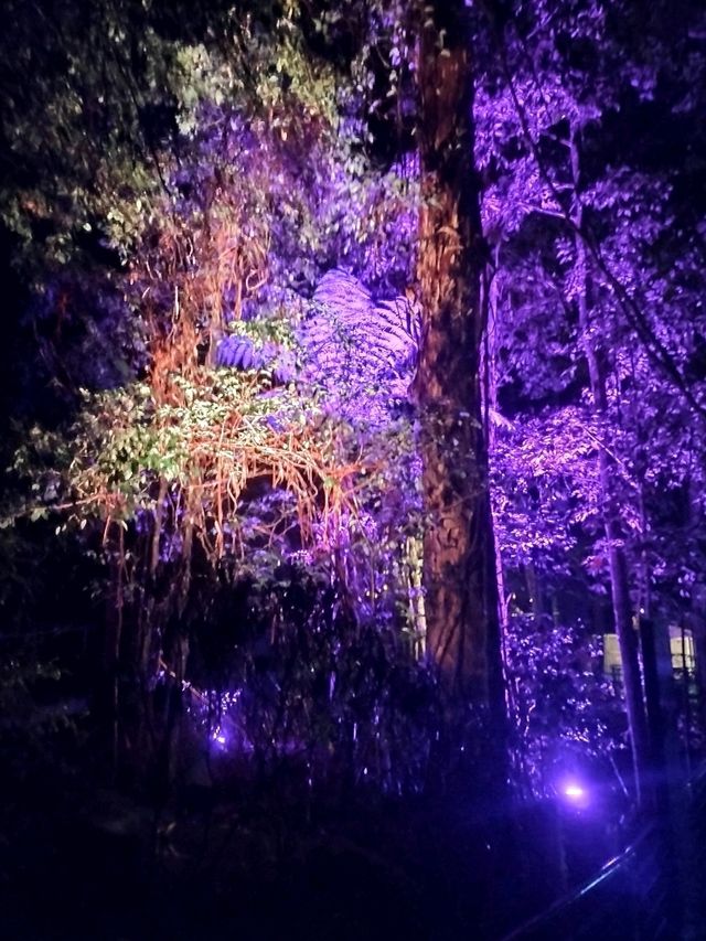 🌌A Celestial Walk🌌