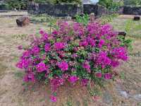 A Glimpse into History: Baluarte de San Diego