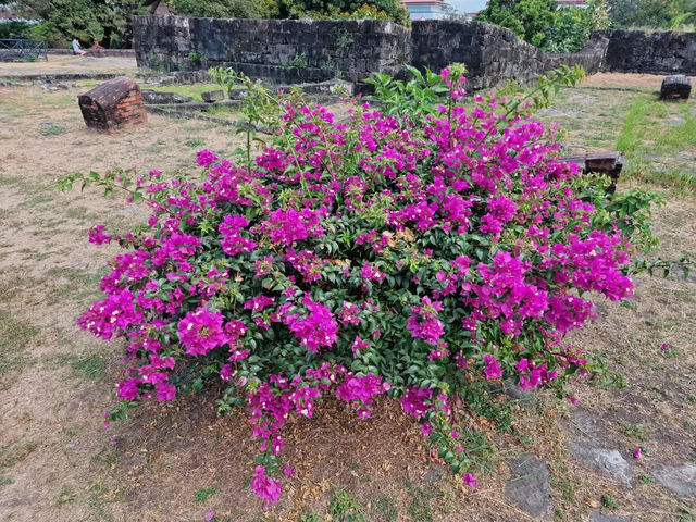 A Glimpse into History: Baluarte de San Diego